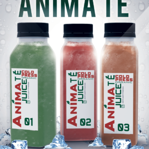 Artuz Fitness Anima Te Cold Press Juice