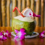 Artuz Fitness Coconut Water, 5 Reasons Its The Ideal Healthy Drink pexels-augustinus-martinus-noppé-12580175
